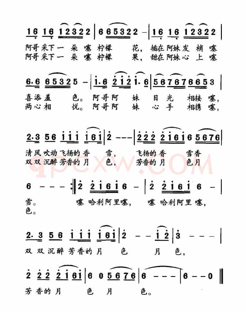 柠檬情歌
