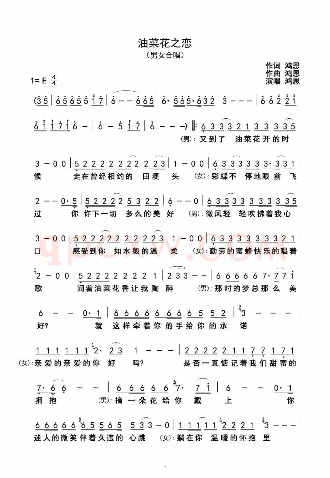 油菜花之恋