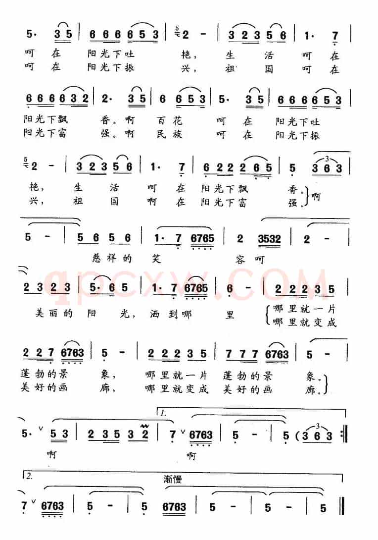 美丽的阳光