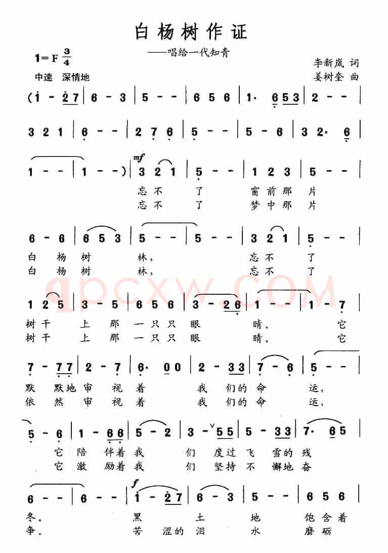 白杨树作证