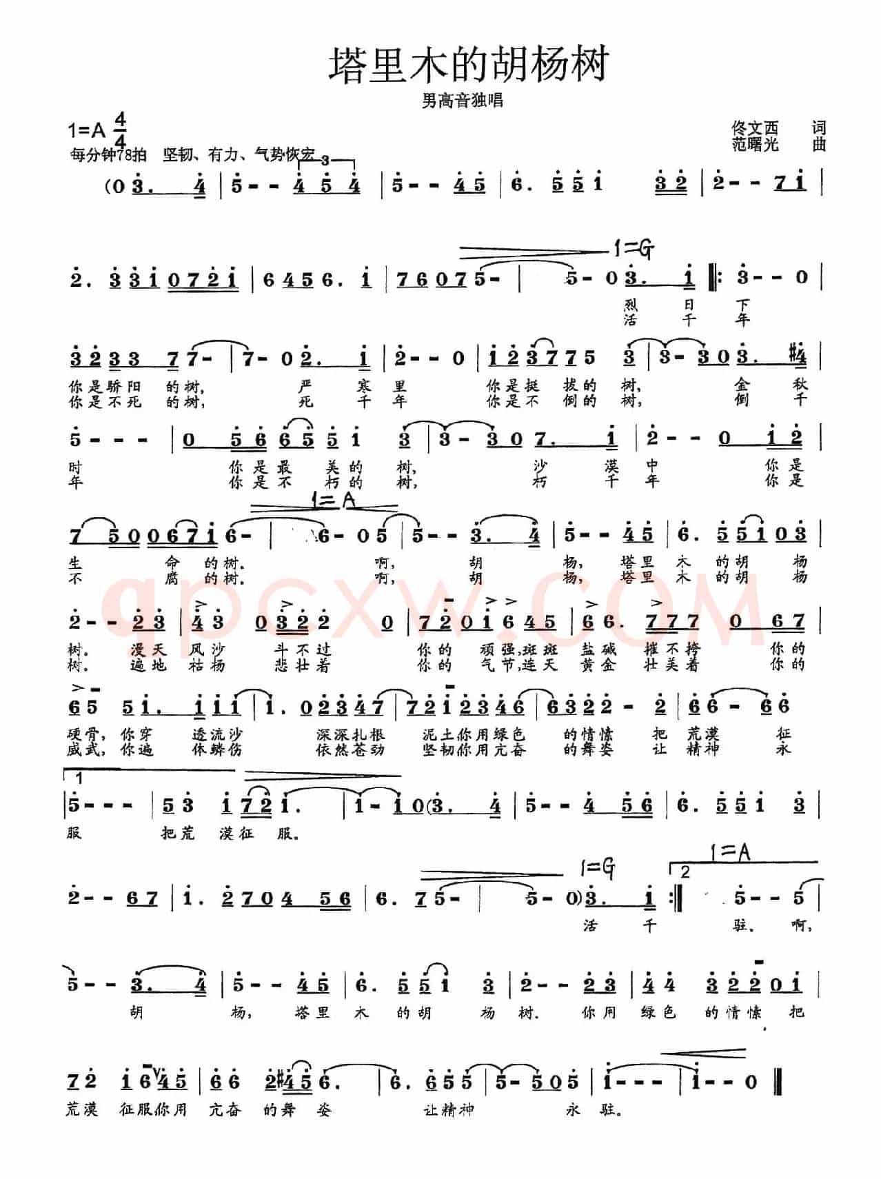 塔里木的胡杨树（佟文西词 范曙光曲）