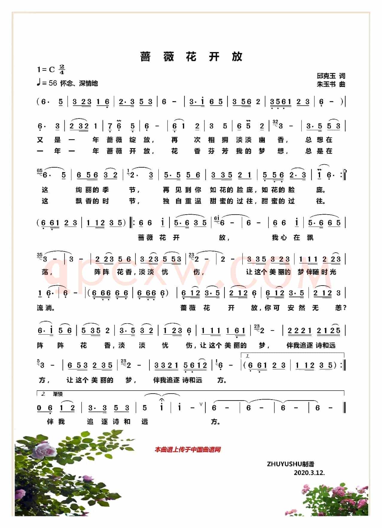 蔷薇花开放