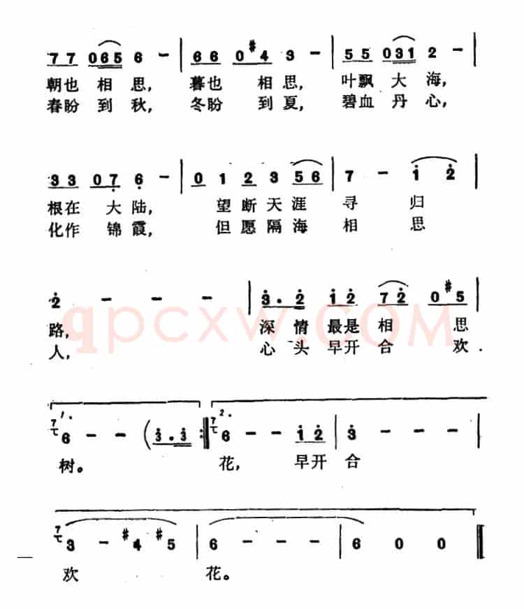 相思与合欢
