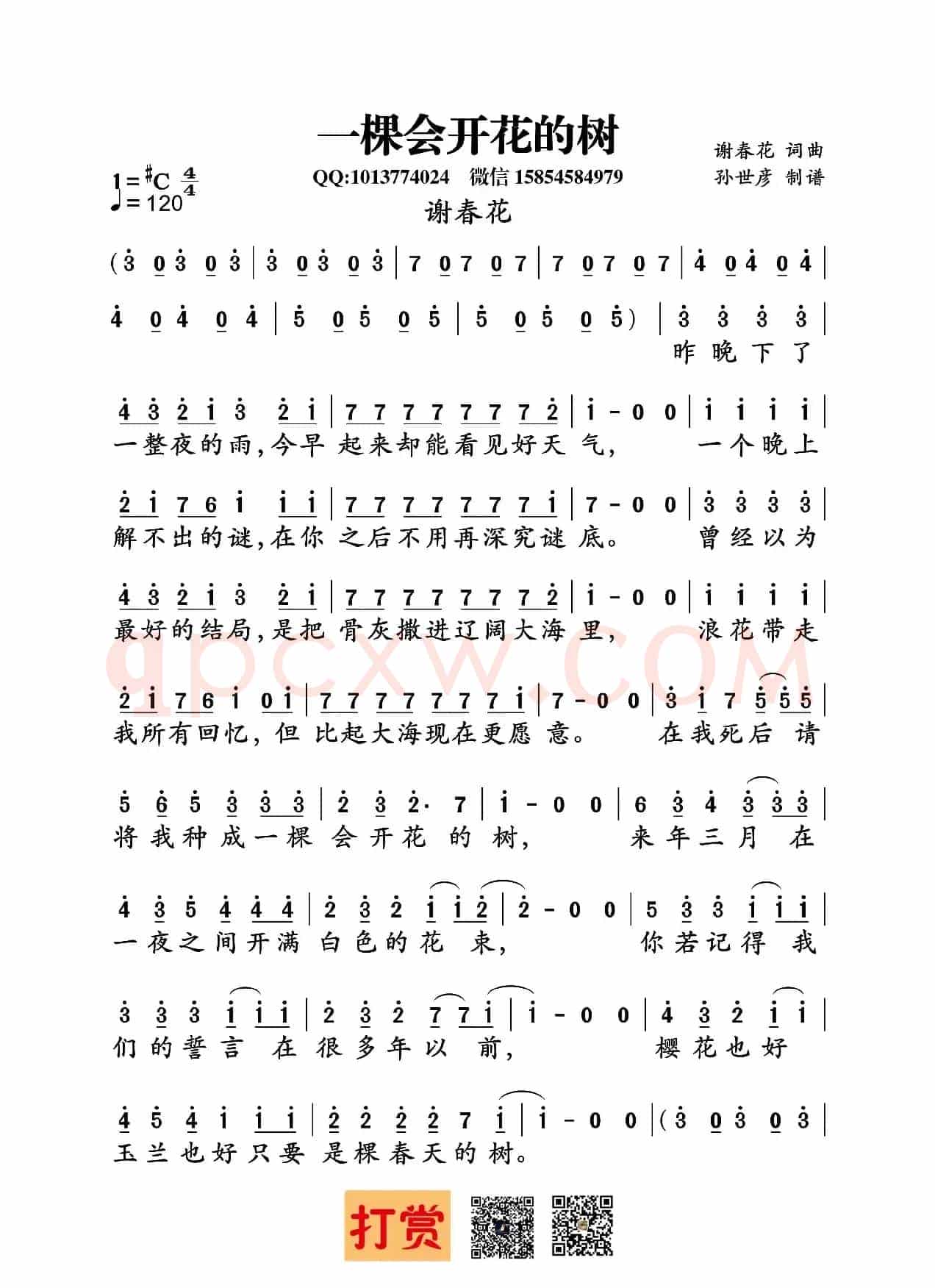 一棵会开花的树(谢春花词曲)