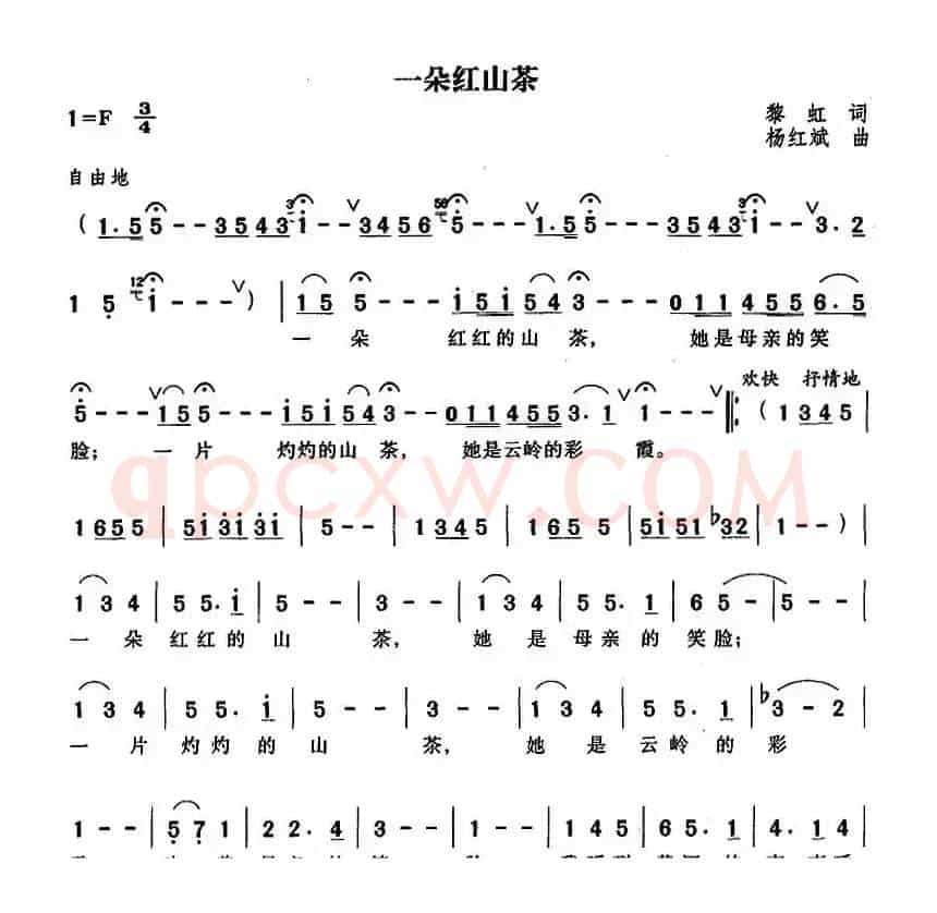 一朵红山茶