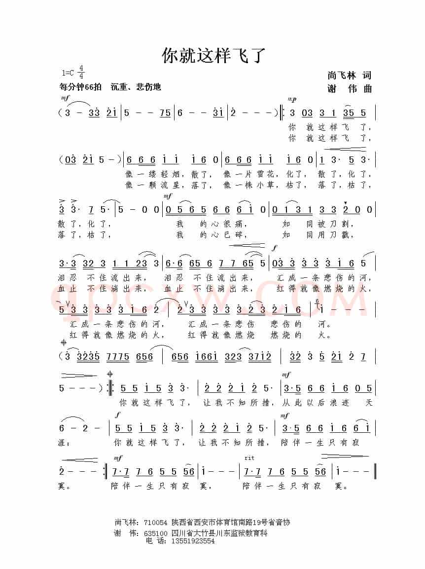 你就这样飞了（尚飞林词 谢伟曲）