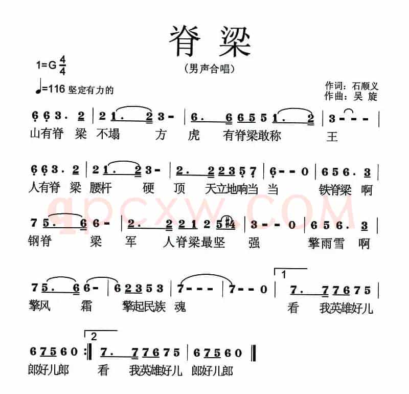 脊梁（电视连续剧《垂直打击》主题曲）