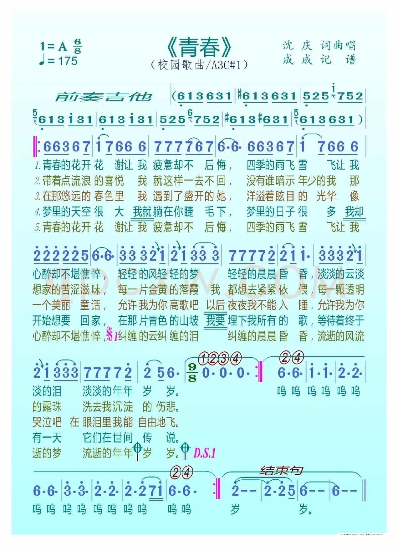 青春（沈庆）