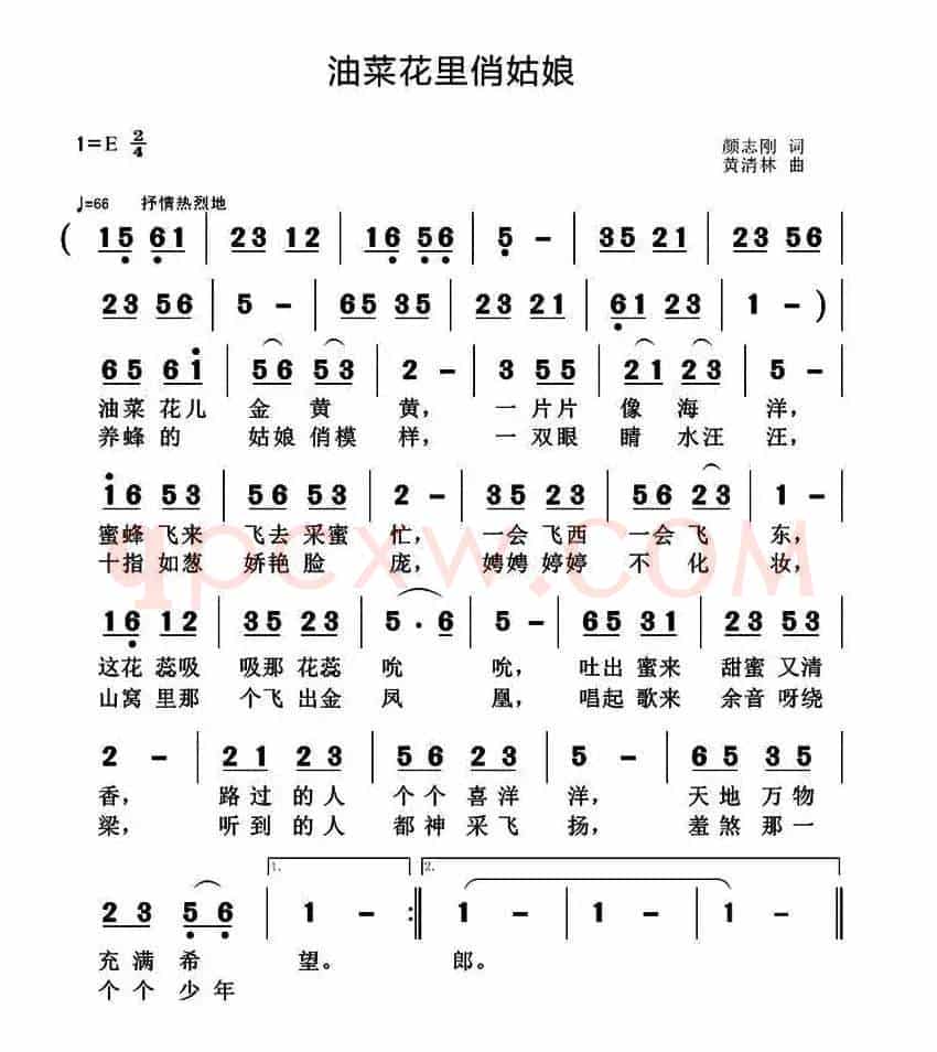 油菜花里俏姑娘