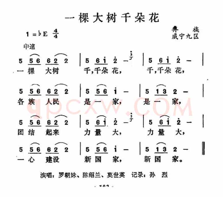 一棵大树千朵花