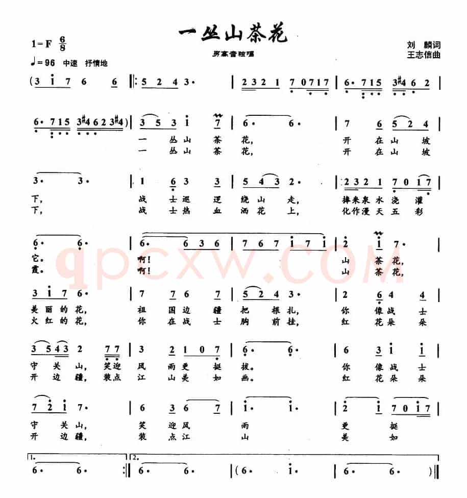 一丛山茶花