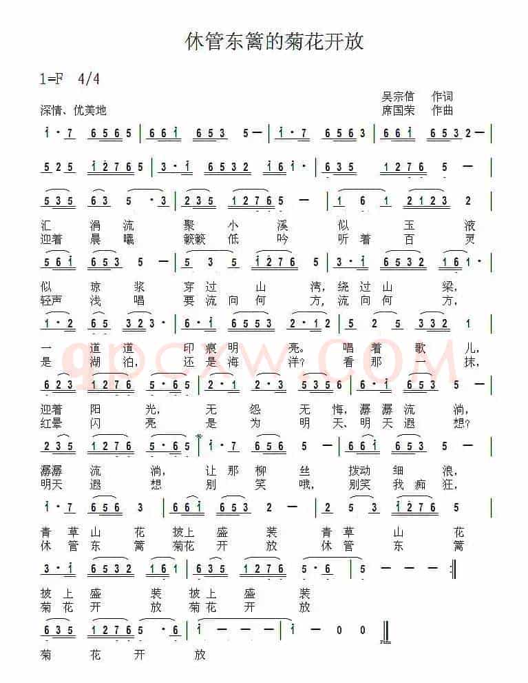 休管东篱的菊花开放