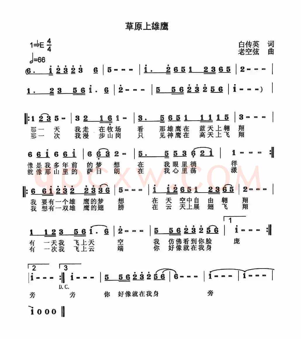 草原上雄鹰