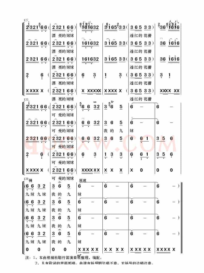 九妹（民乐合奏）