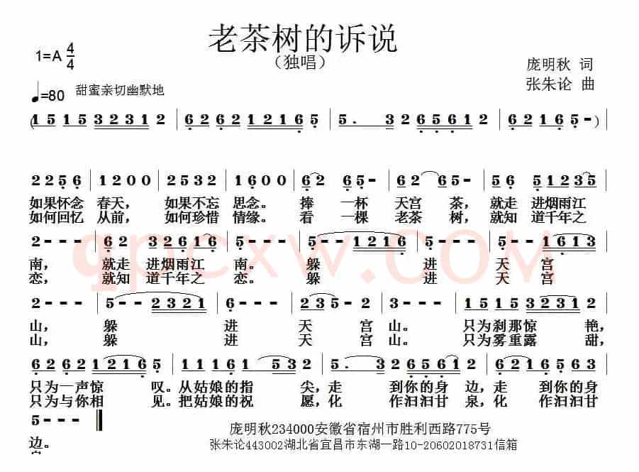 老茶树的诉说