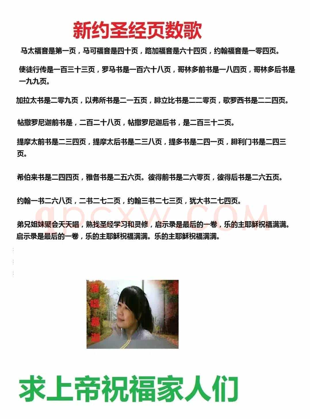 新约圣经页数歌曲(开花结果作词)
