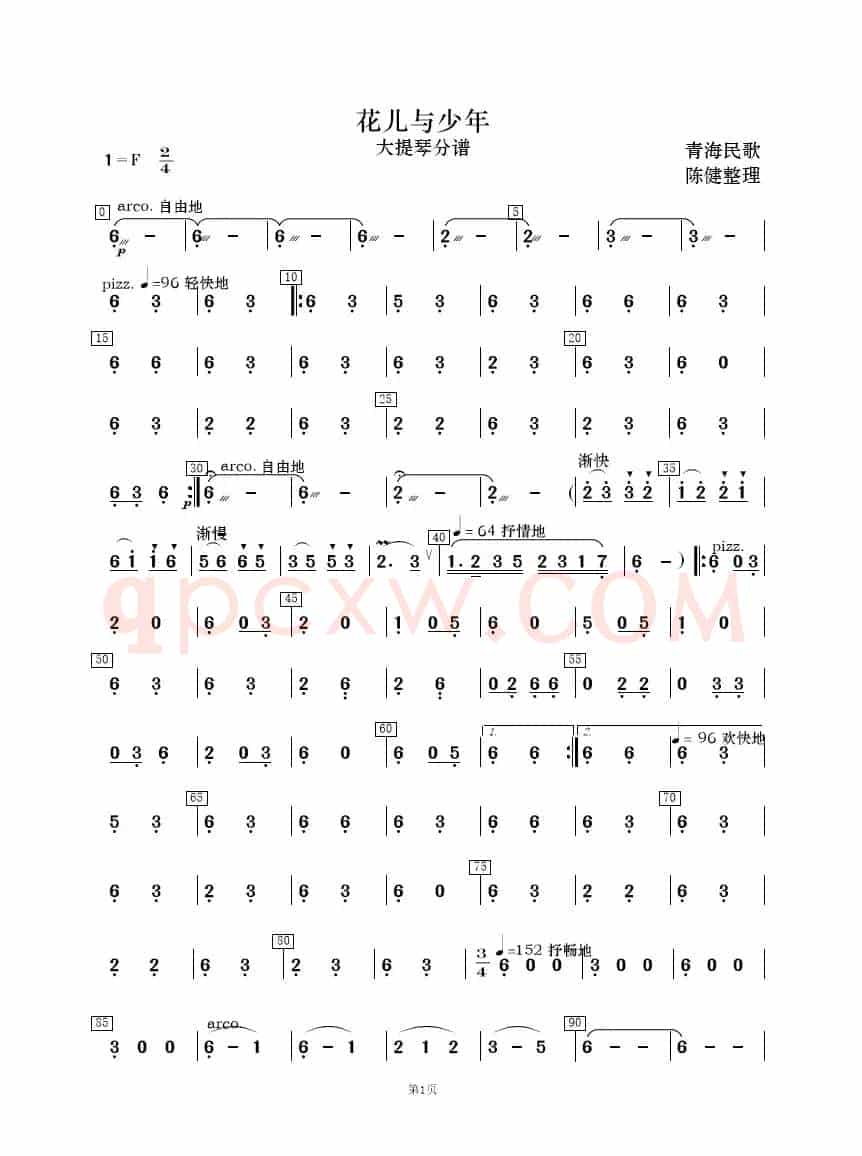 花儿与少年（民乐合奏）
