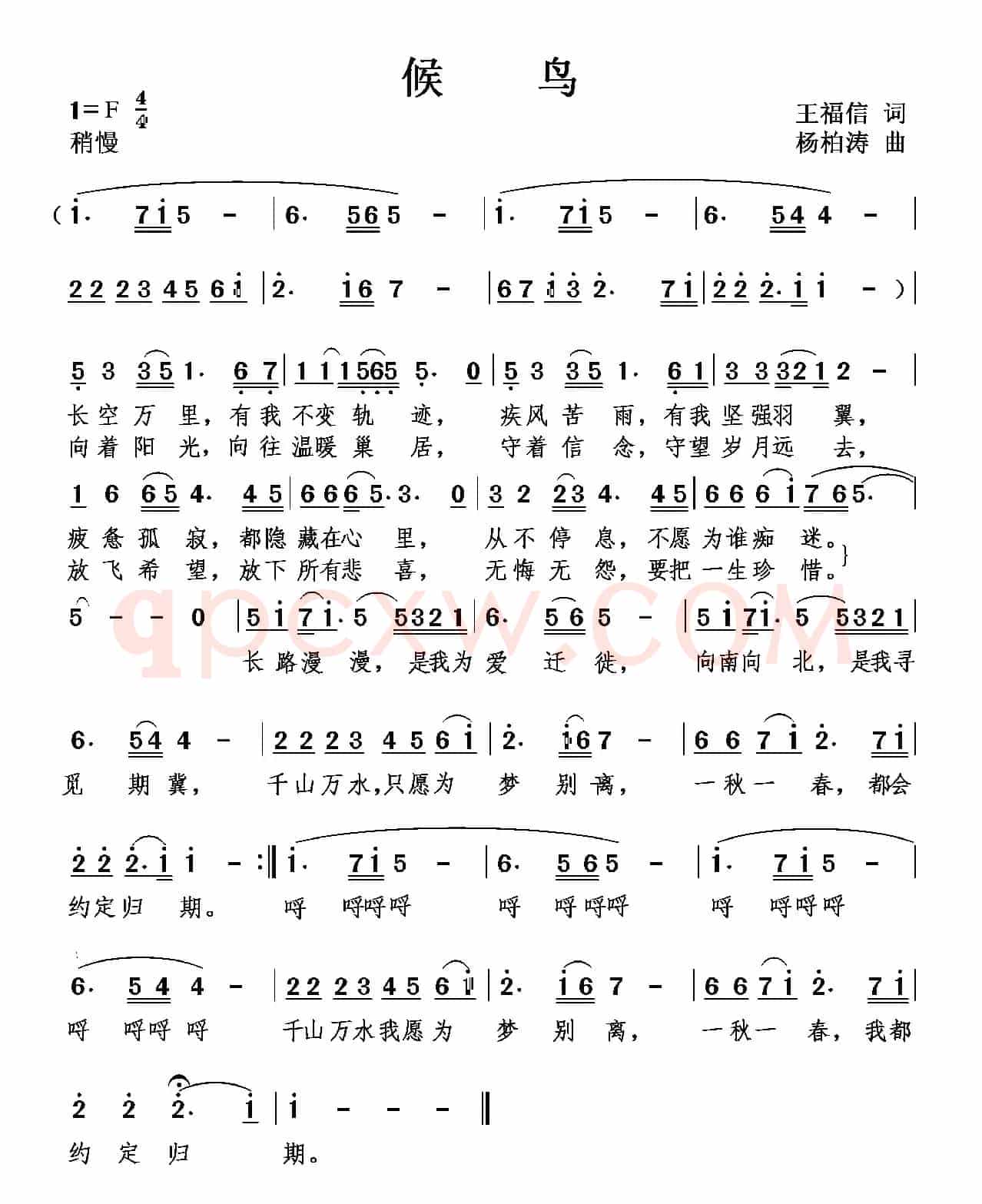 候鸟