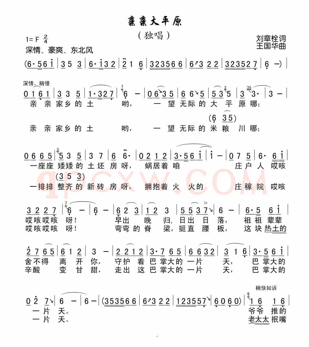 亲亲大平原