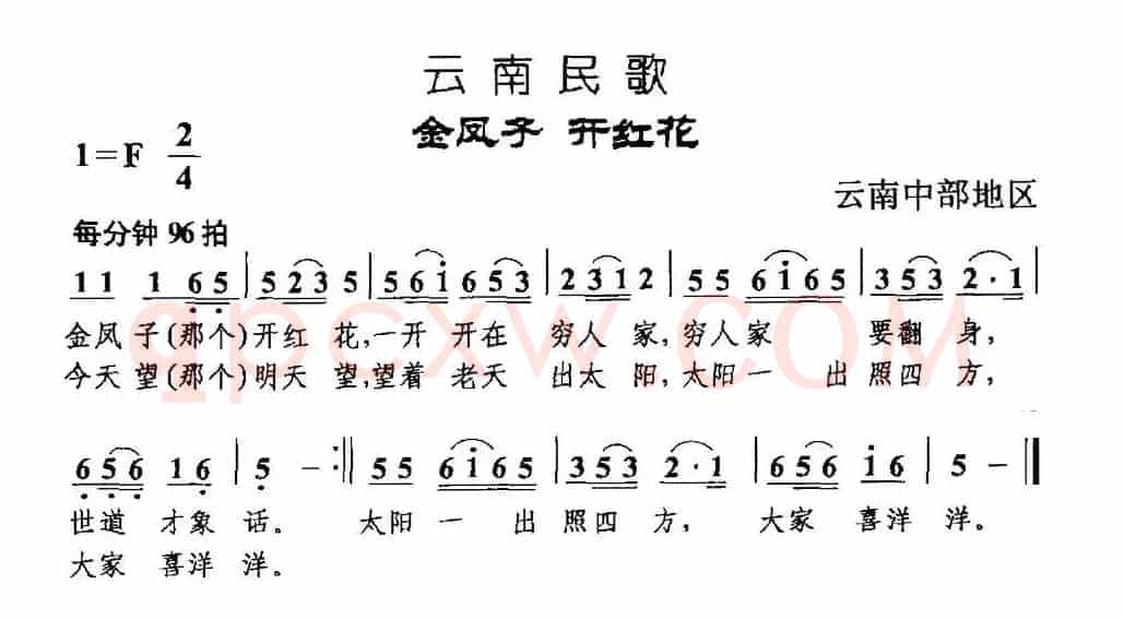 金凤子 开红花