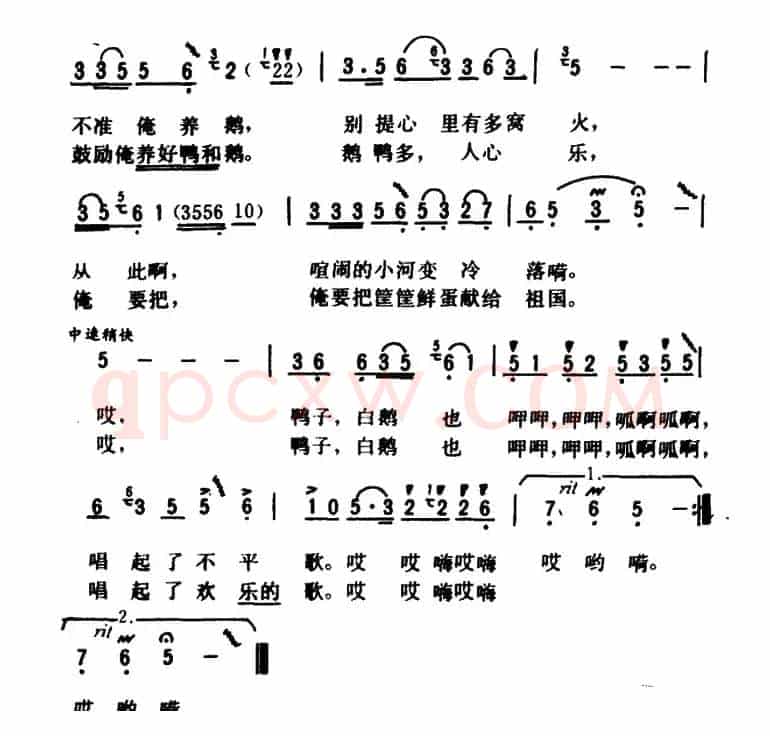 鸭子、白鹅唱起了欢乐歌