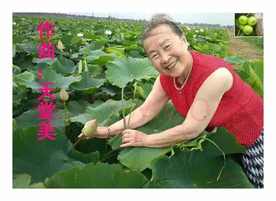 懂事的小孩【李秀梅教唱】(开花结果词 天堂美曲)