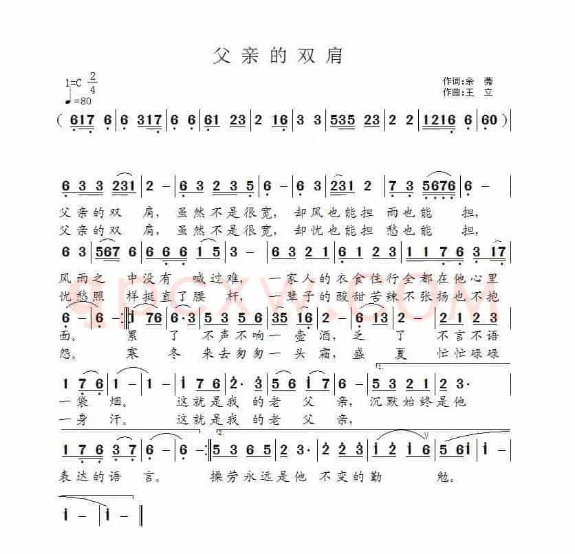 父亲的双肩