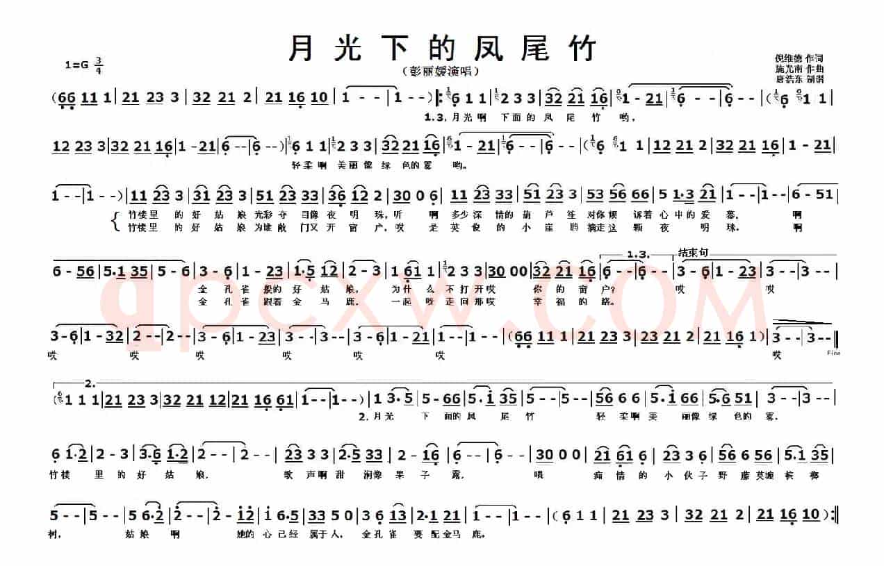 月光下的凤尾竹