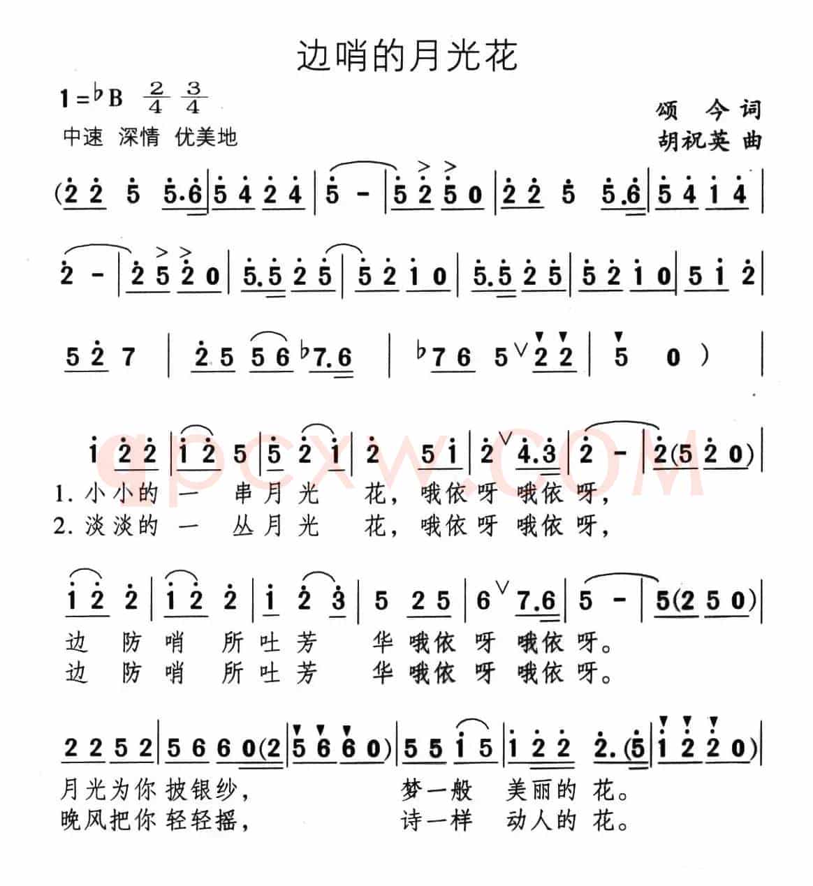 边哨的月光花