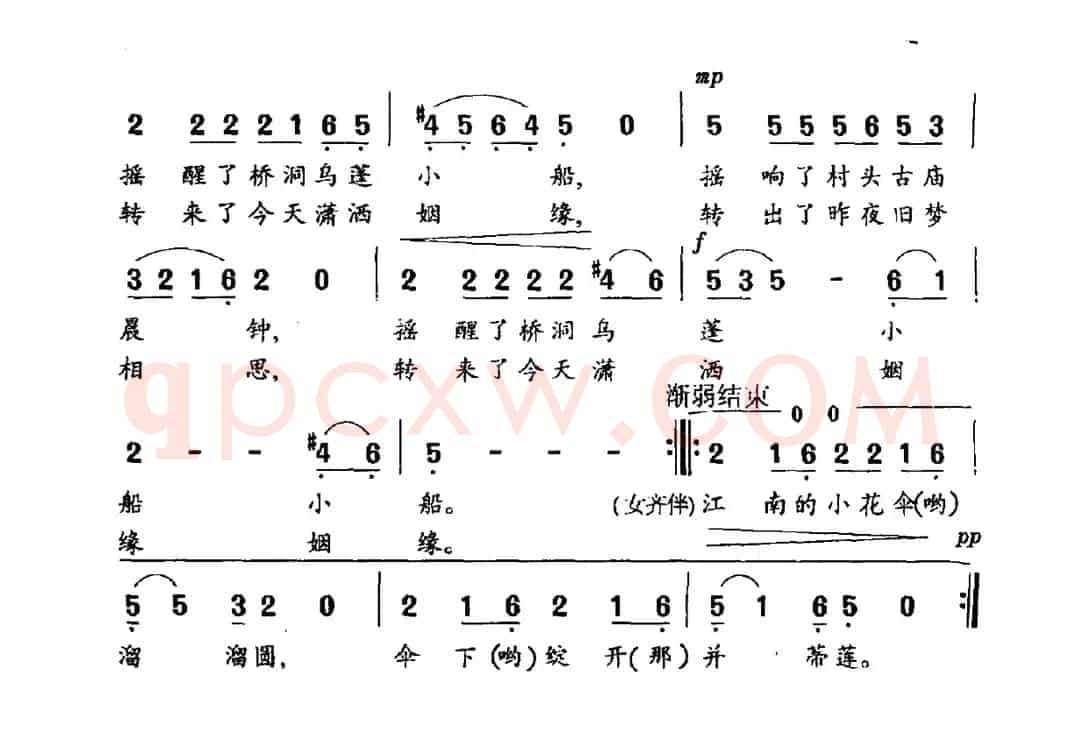 江南的小花伞