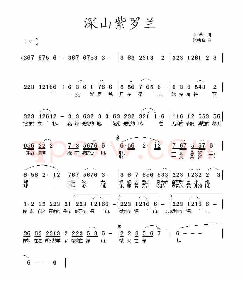 深山紫罗兰