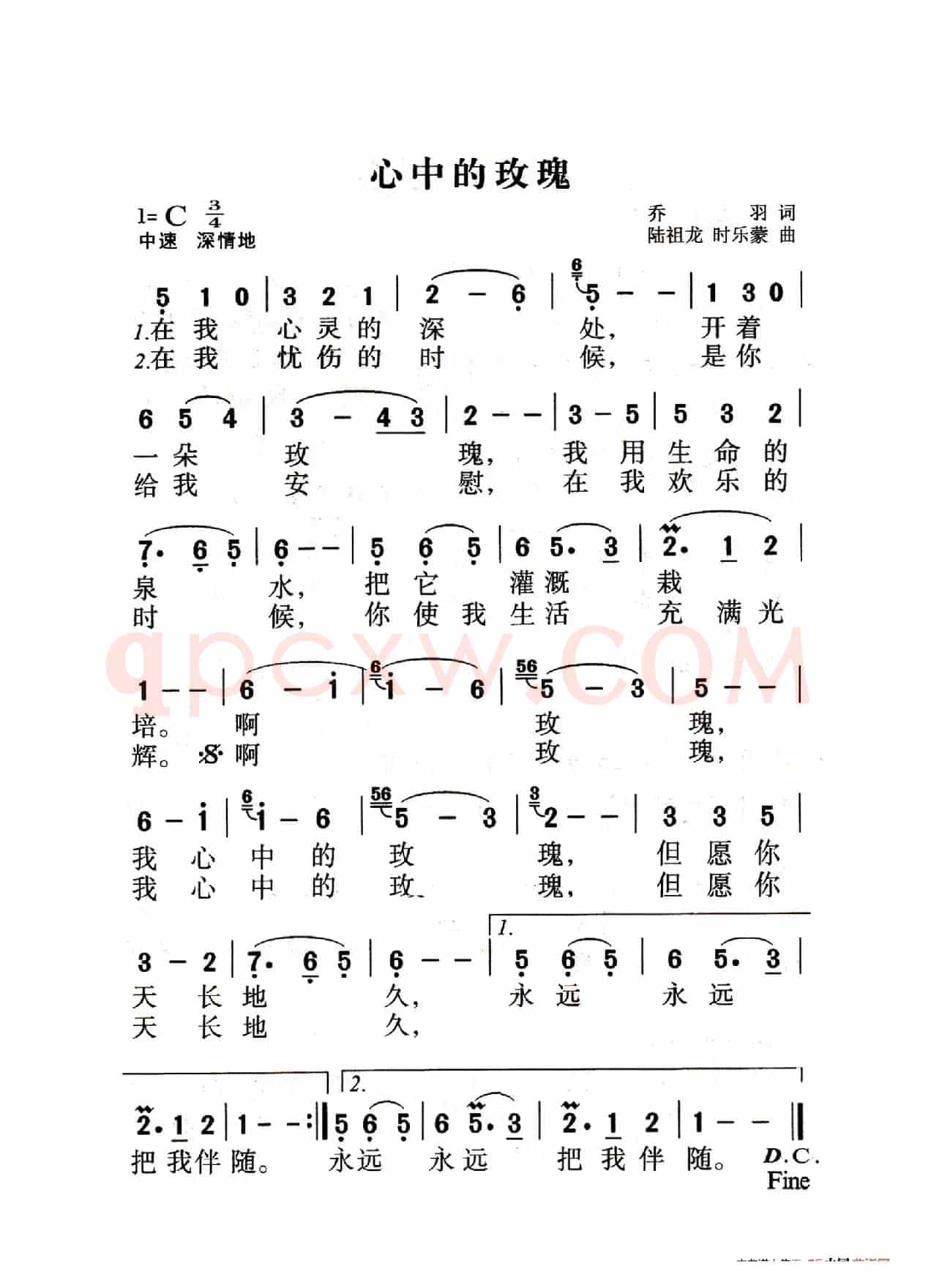 心中的玫瑰（老人适用）