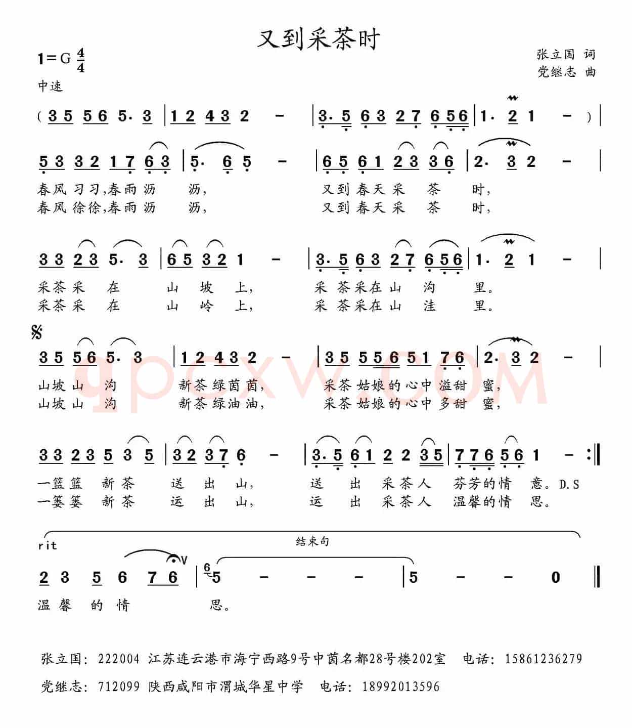 又到采茶时