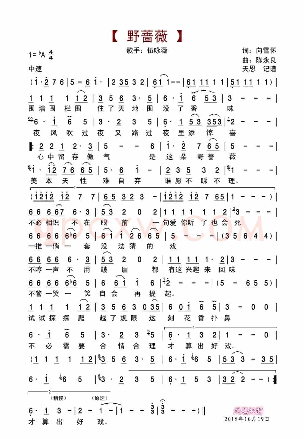 野蔷薇