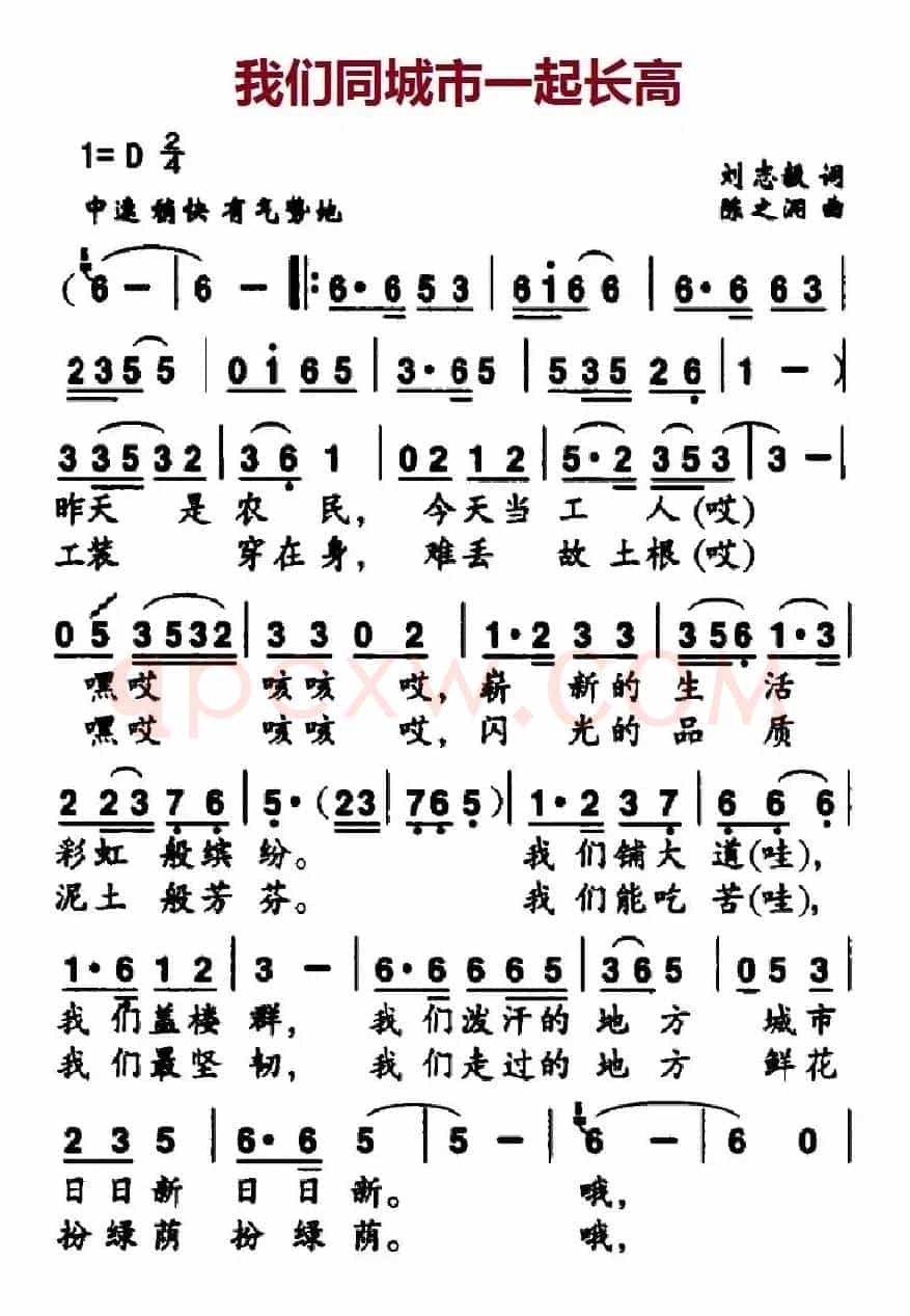 我们同城市一起长高