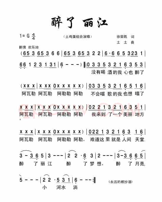 醉了 丽江