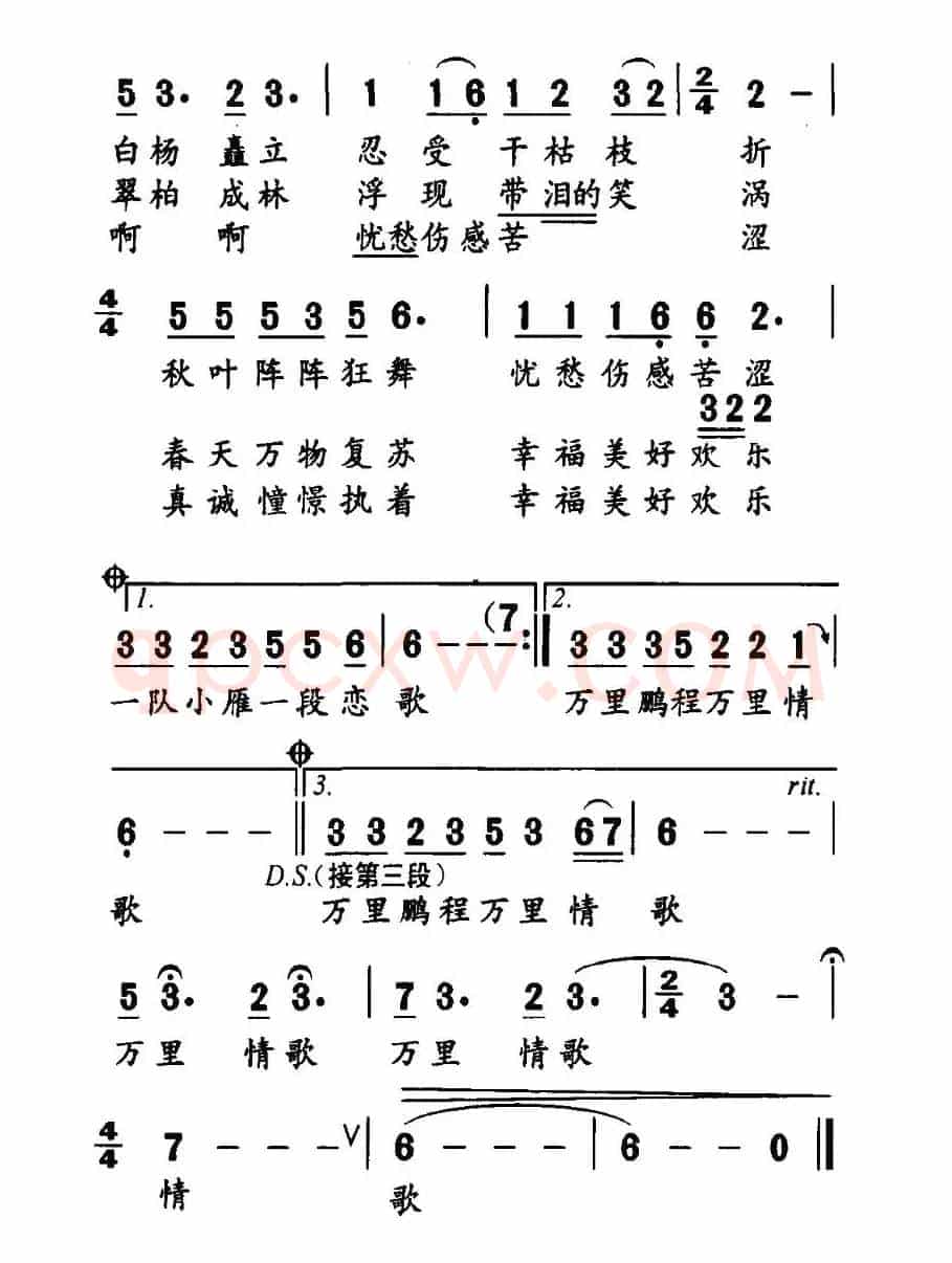 放飞的歌