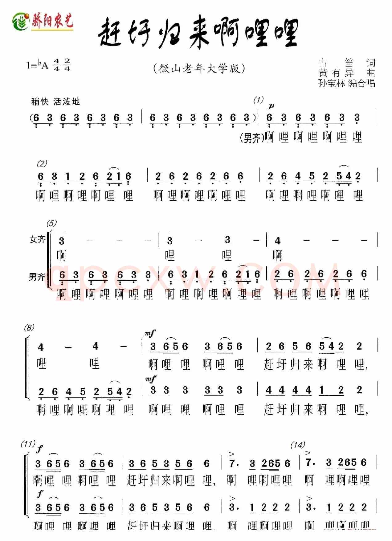 赶圩归来啊哩哩（二声部合唱）