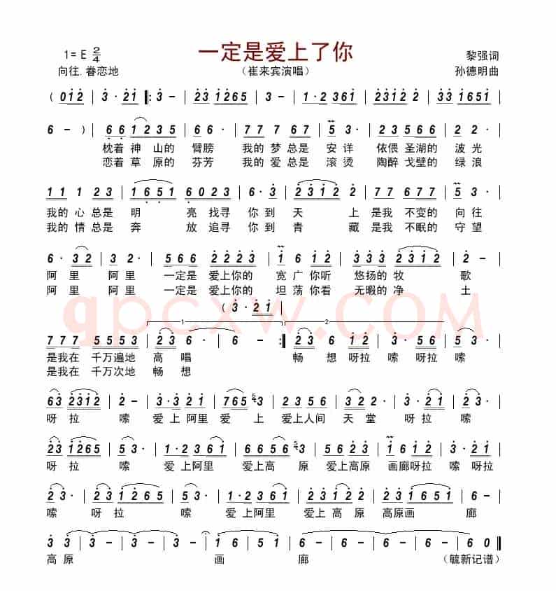 一定是爱上了你