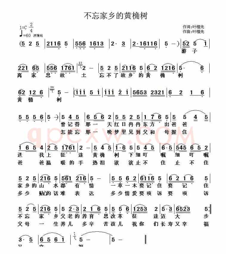 不忘家乡的黄桷树