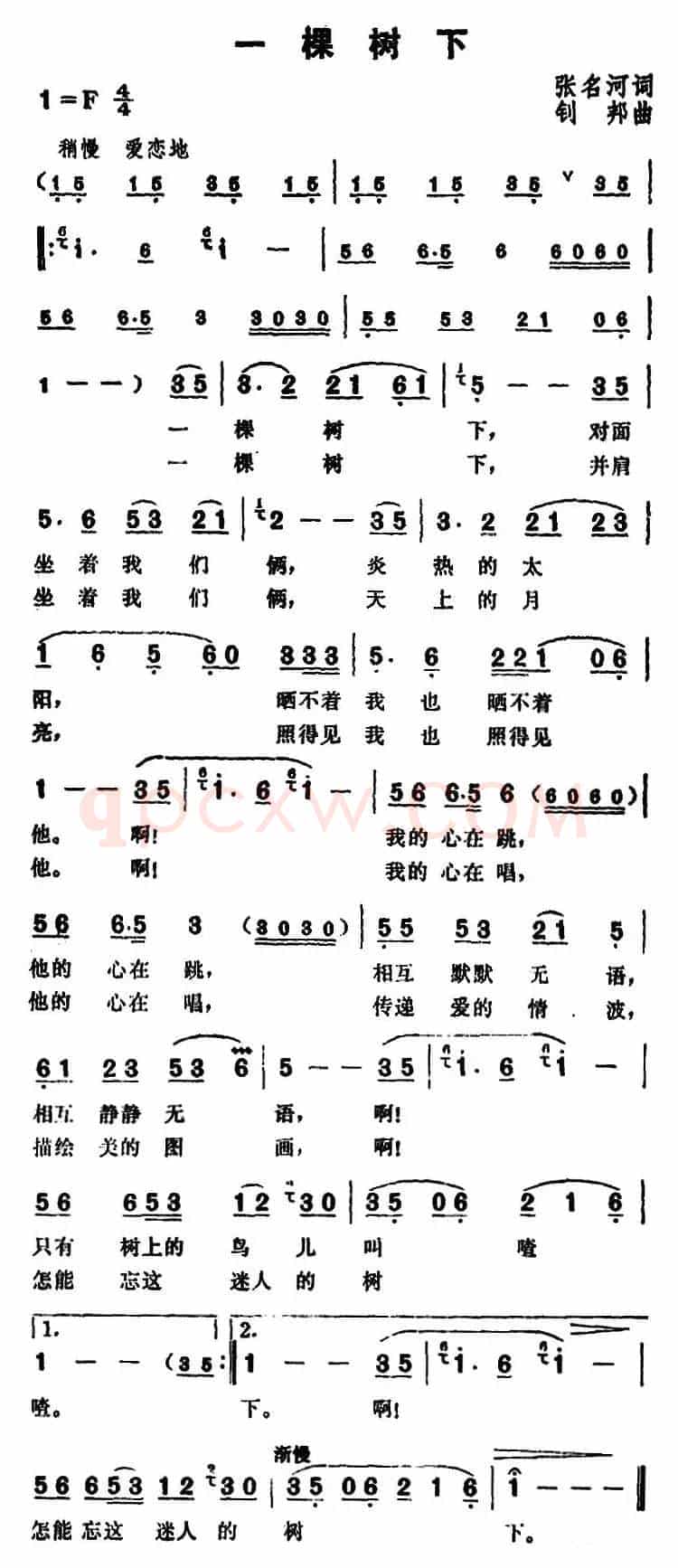 一棵树下