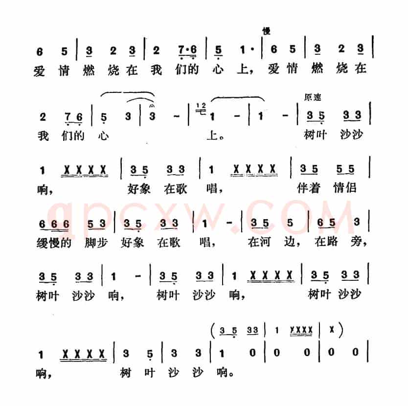 树叶沙沙响