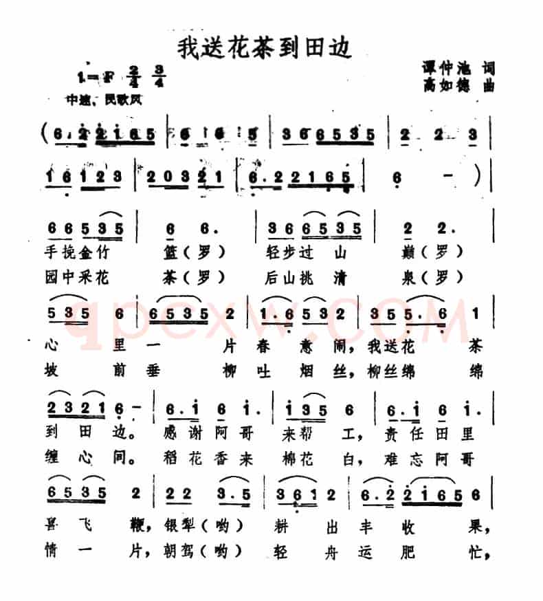 我送花茶到田边