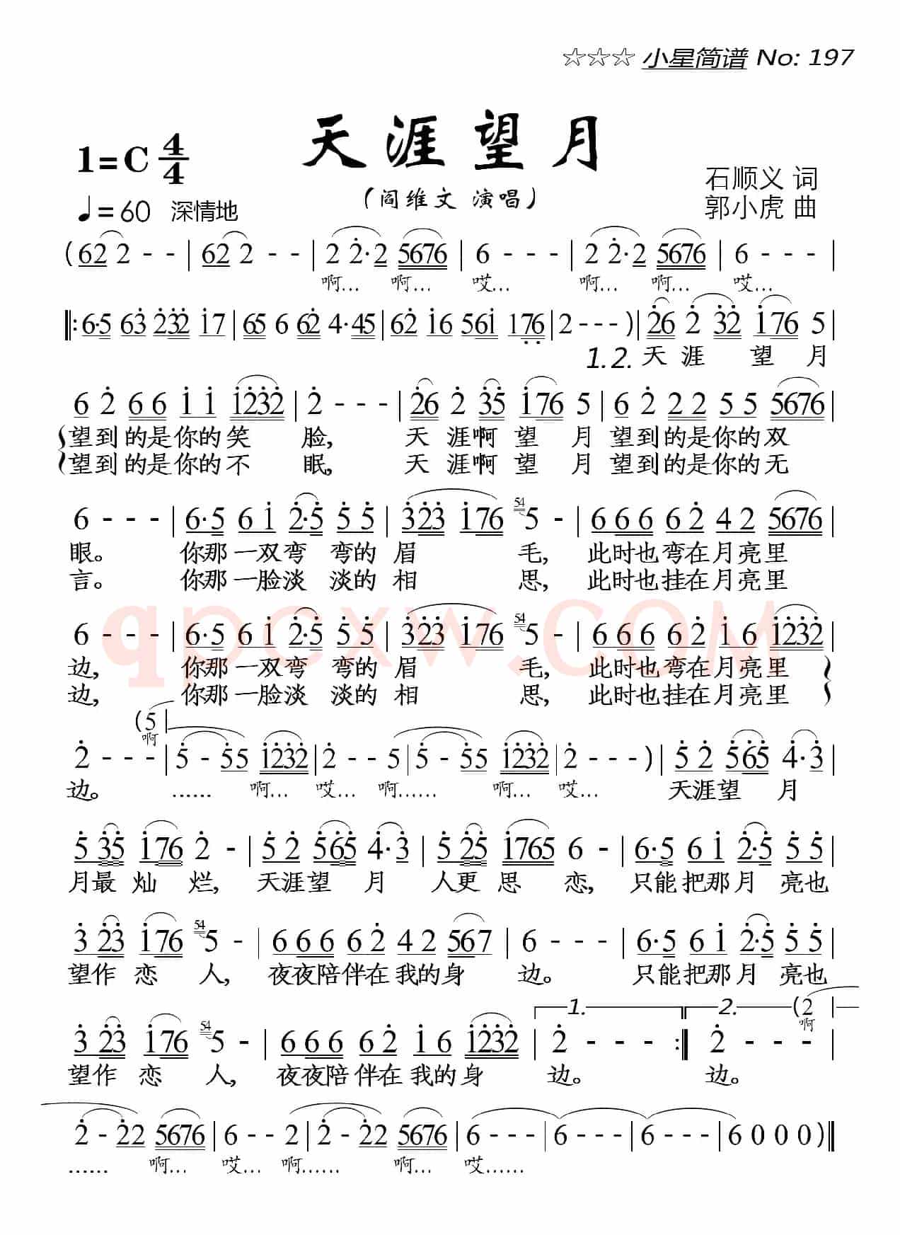 天涯望月
