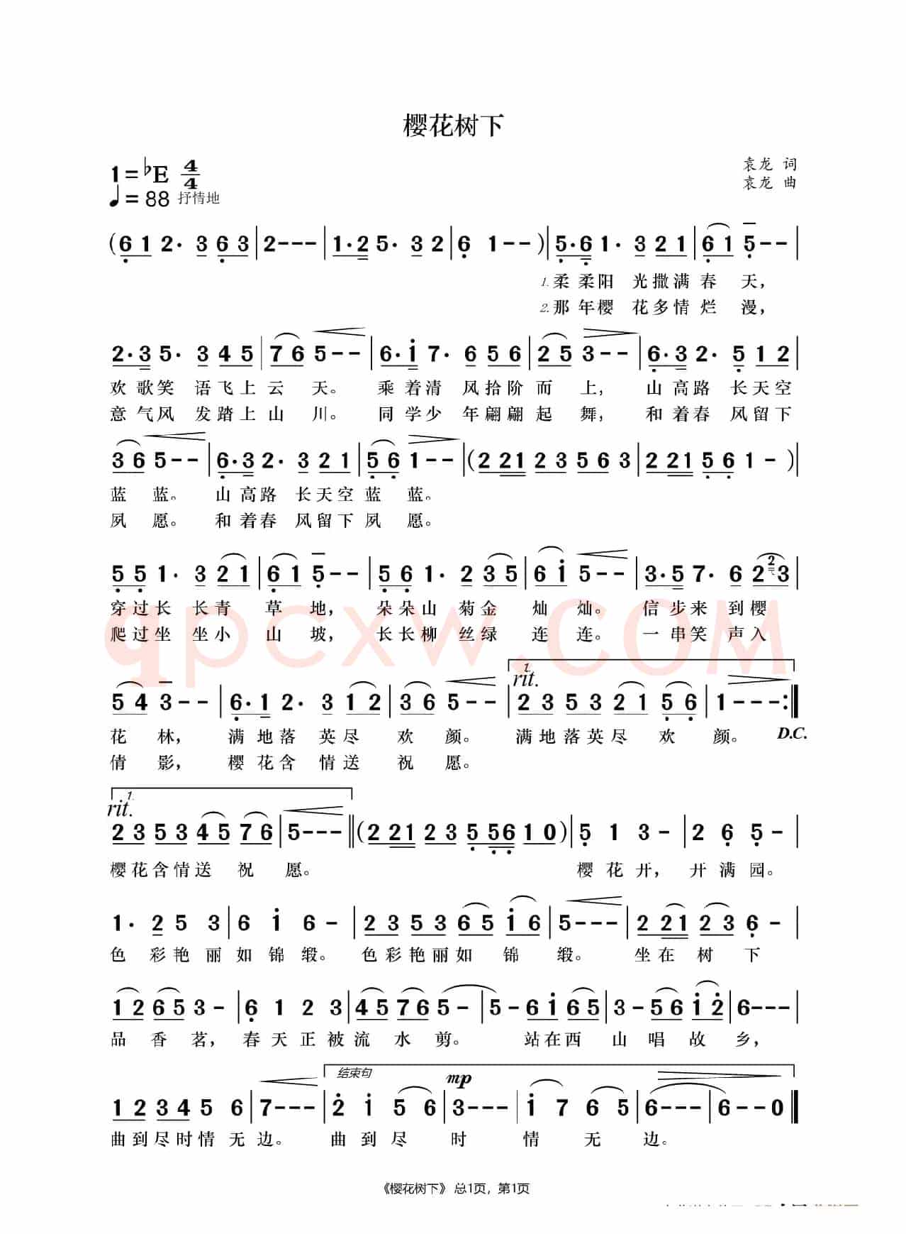 樱花树下