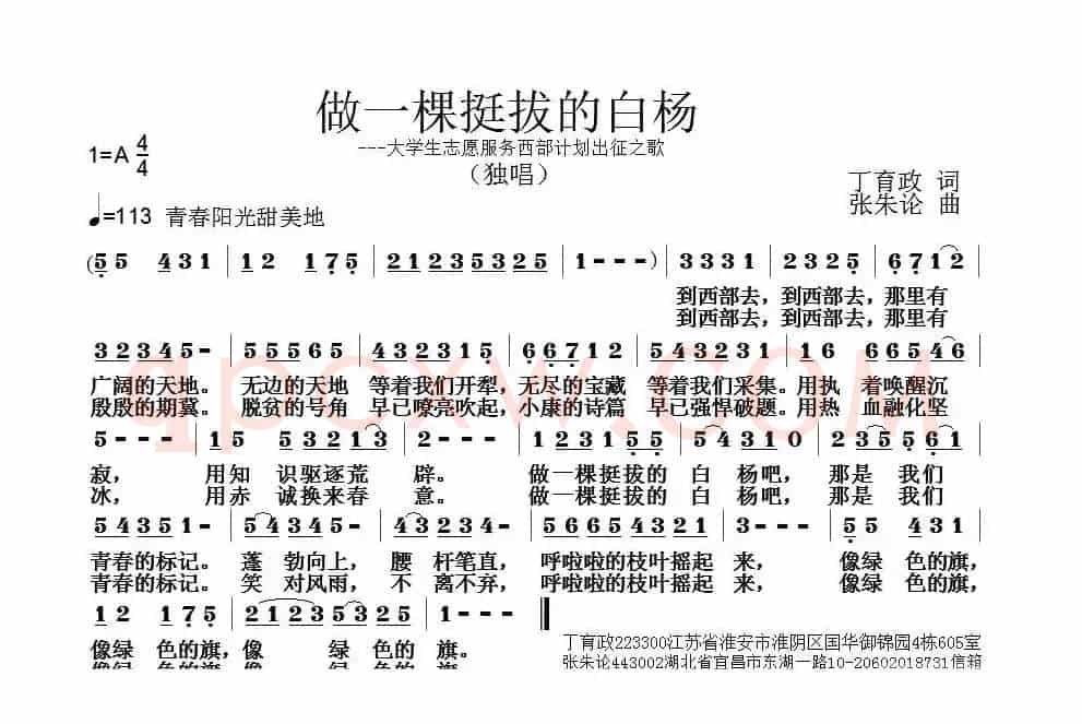做一棵挺拔的白杨