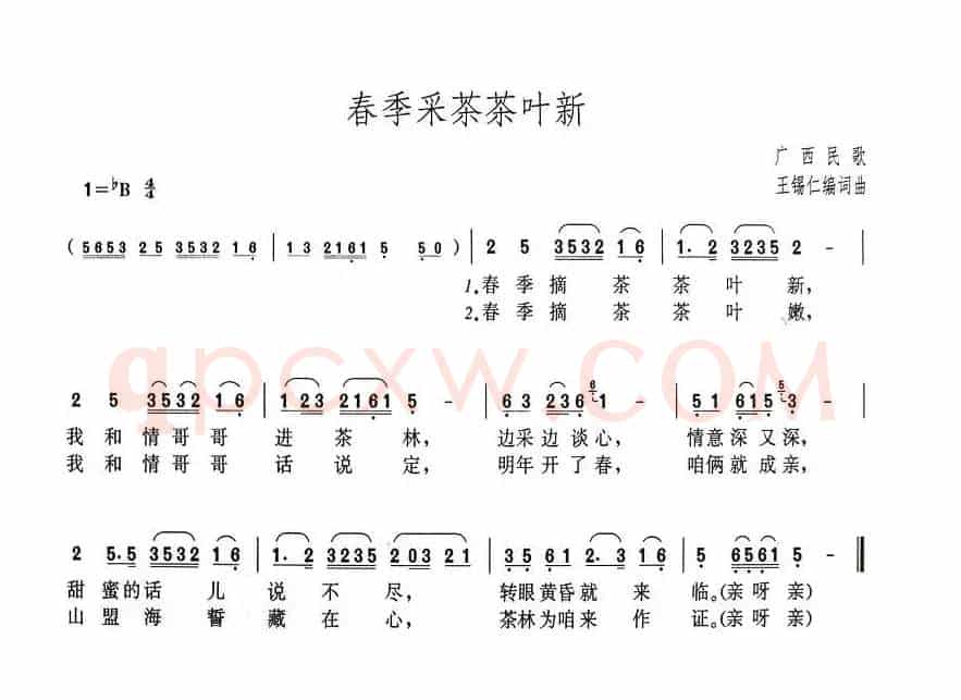 春季采茶茶叶新