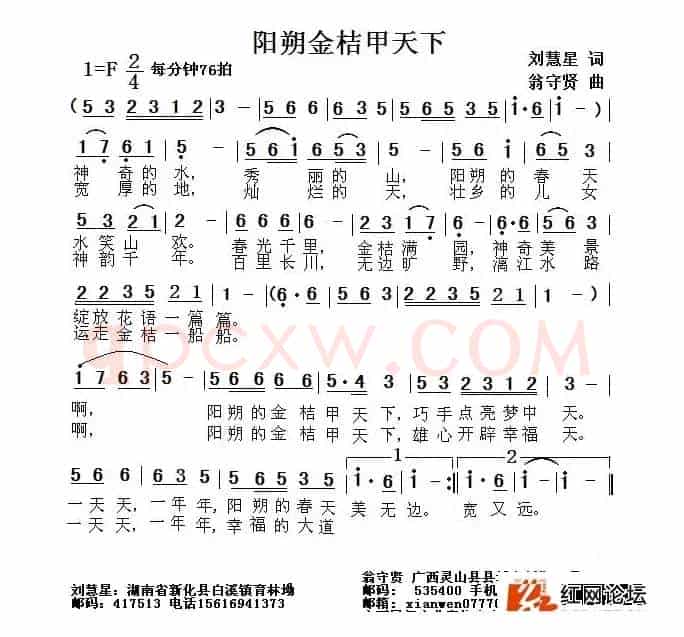 阳朔金桔甲天下