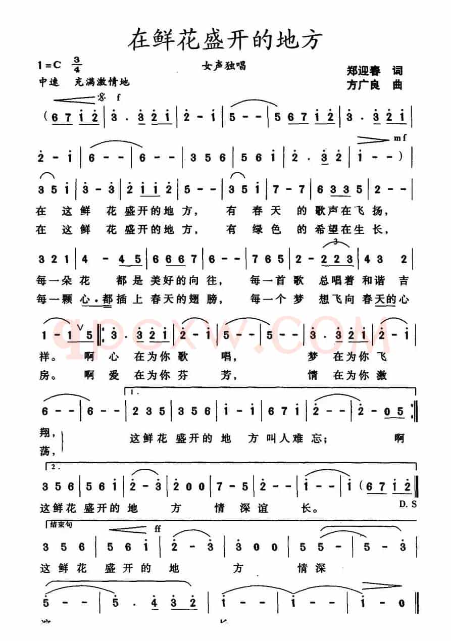 在鲜花盛开的地方