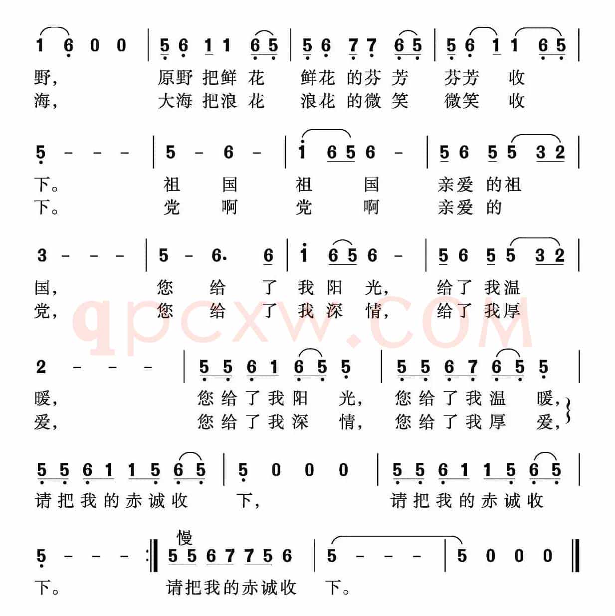 收下我的赤诚